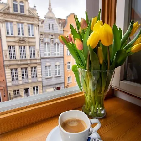 Maya's Flats & 45 - Dluga 18/19 *