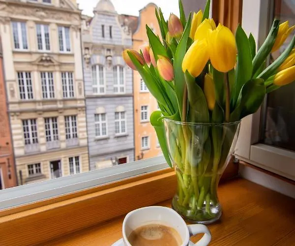 Maya's Flats & 45 - Dluga 18/19 *