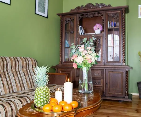 Maya's Flats & 45 - Dluga 18/19 アパート *