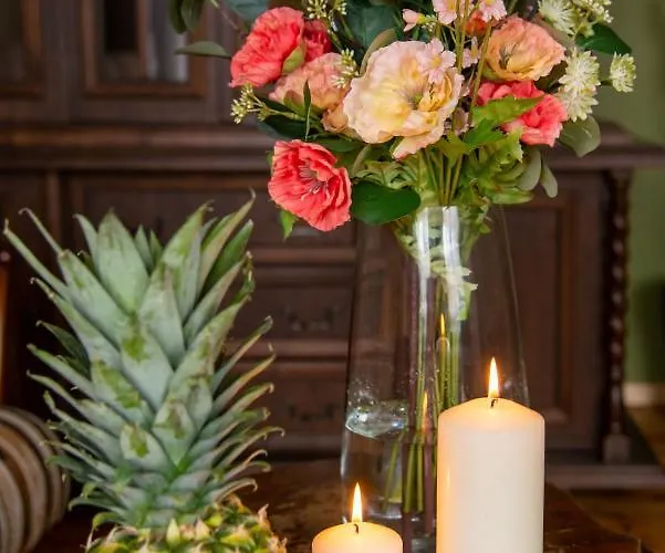 Maya's Flats & 45 - Dluga 18/19 *