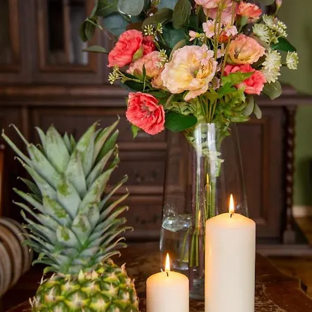 Maya's Flats & 45 - Dluga 18/19 *